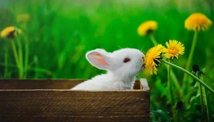 《天国：拯救2》第三款DLC即将上线，全新地图与剧情